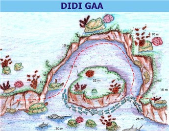 Didi Gaa